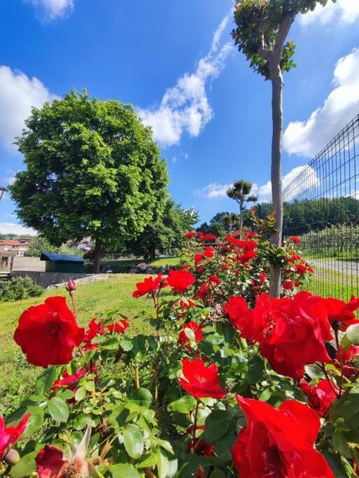 Casa Caliera Villa Viverone Kültér fotó